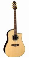 【送料無料】TakaminePTU841CTBS＜タカミネエレアコ＞【商品番号10010654】