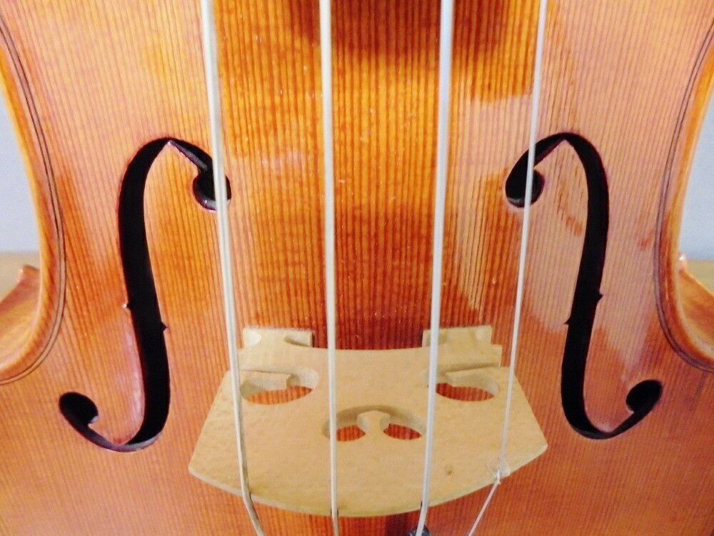 【長期在庫アウトレット】【代引き不可】REINHOLDSCHNABLR100Vシュナーブルビオラ【店頭受取対応商品】