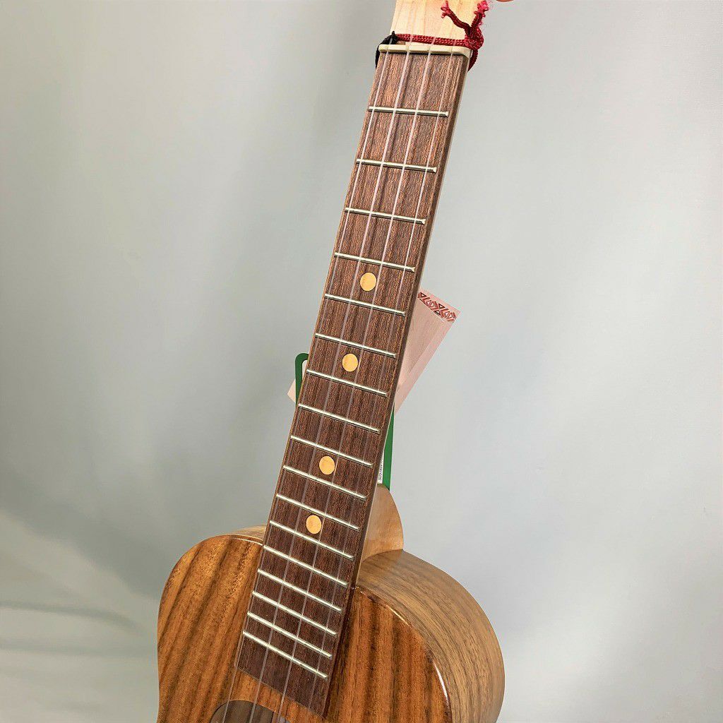 KoalohaOpioKCO-10UGConcertコアロハオピオコンサート【店頭受取対応商品】