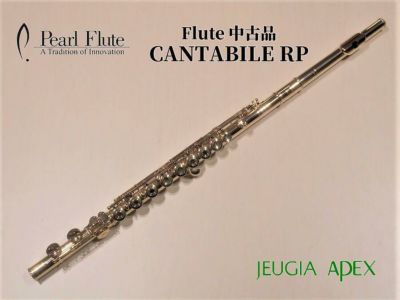 お手入れセットサービス】ALTUS FLUTE A1007Eアルタス 管体銀製 