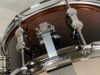 【1台限定特価】SONORAQ2-1406SDW#BRFAQ2SeriesMapleSnareDrum14"x6"ソナースネアドラムブラウンフェイド・ラッカーフィニッシュ