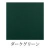 MacCorporationCFC-2SGRNサテンダークグリーン＜マックコーポレーションチェロ用カーボンコンポジット製ハードケース＞【商品番号10012169】