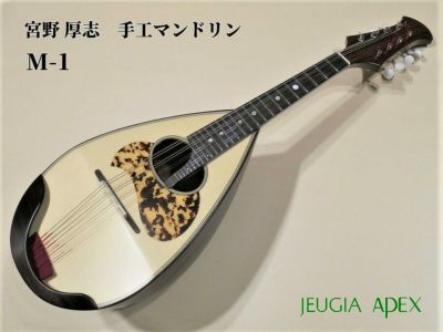 Calace No.24カラーチェ マンドリン【APEX-Rakuten Stringed instrument】 | JEUGIA