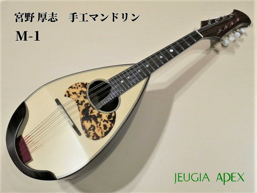 Calace No.24カラーチェ マンドリン【APEX-Rakuten Stringed 