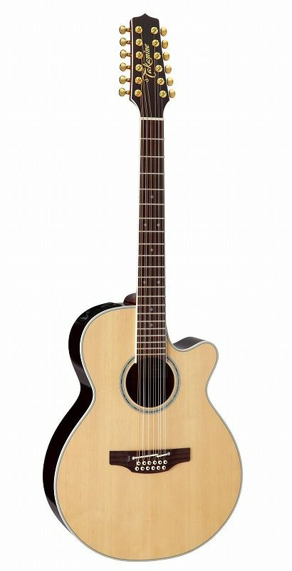 【送料無料】TakaminePTU141C-12N＜タカミネエレアコ＞【商品番号10005500】