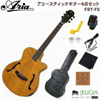 ARIA FET-F2 STBR Stained Brownアリア 初心者セット 入門用