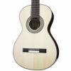 ARIAA19C-100N19thCentury-Styleclassicguitarw/Hardcaseアリアクラシックギター【ハードケース付】