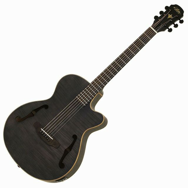 ARIA FET-F2 STBR Stained Brownアリア 入門用 アコースティックギター 