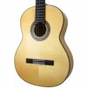 ARIAA-50FBasic(Flamenco)アリアクラシックギタートップスプルース単板ベーシック・シリーズフラメンコ