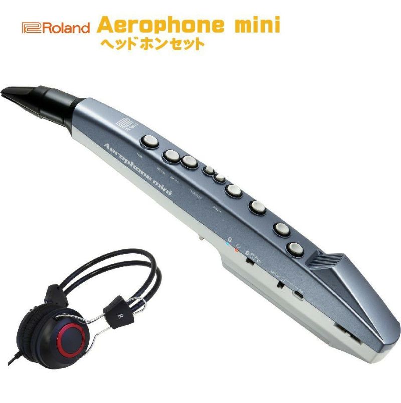 Roland AE-01 Aerophone mini エアロフォンミニ - 管楽器・吹奏楽器
