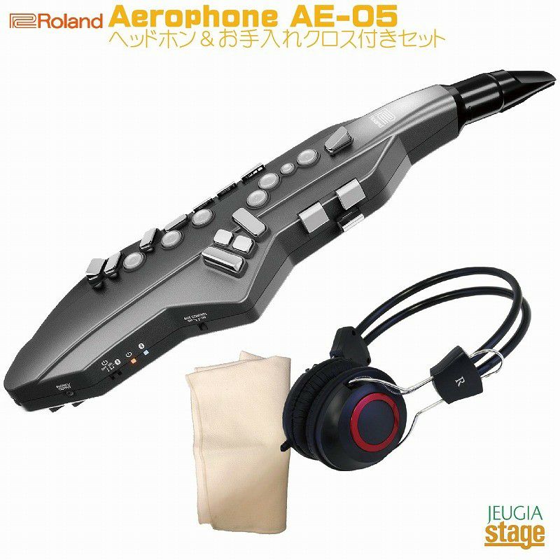 ヘッドホン・お手入れクロス・専用ケース付 セット】Roland Aerophone 
