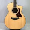 Taylor214ceRosewoodPlusテイラーエレアコローズウッドナチュラル