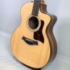 Taylor214ceRosewoodPlusテイラーエレアコローズウッドナチュラル