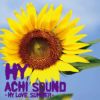 HY「ACHISOUND～HYLOVESUMMER～」(CD)【草津エイスクエア店】