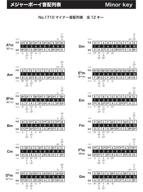 【日本製】TOMBO1710メジャーボーイトンボハーモニカ【Stage-RakutenHarmonicaLineup】