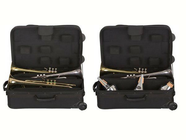 CCShinyCaseIICC2-FL-WSC.C.シャイニーケースIIフルート