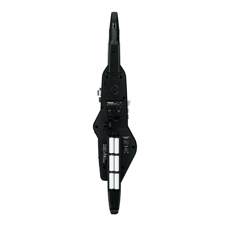 Roland/AerophoneAE-20