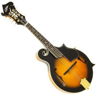 フラットマンドリン】ARIA AM-20※こちらの商品はお取り寄せ