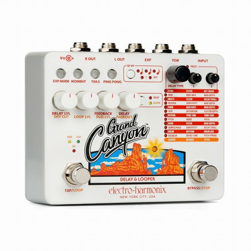 ギター Electro Harmonix Canyon Electro-Harmonix Canyon Delay & Looper Pedal | Reverb Canada