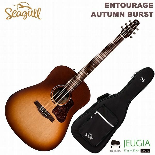 Seagullアコースティックギター-