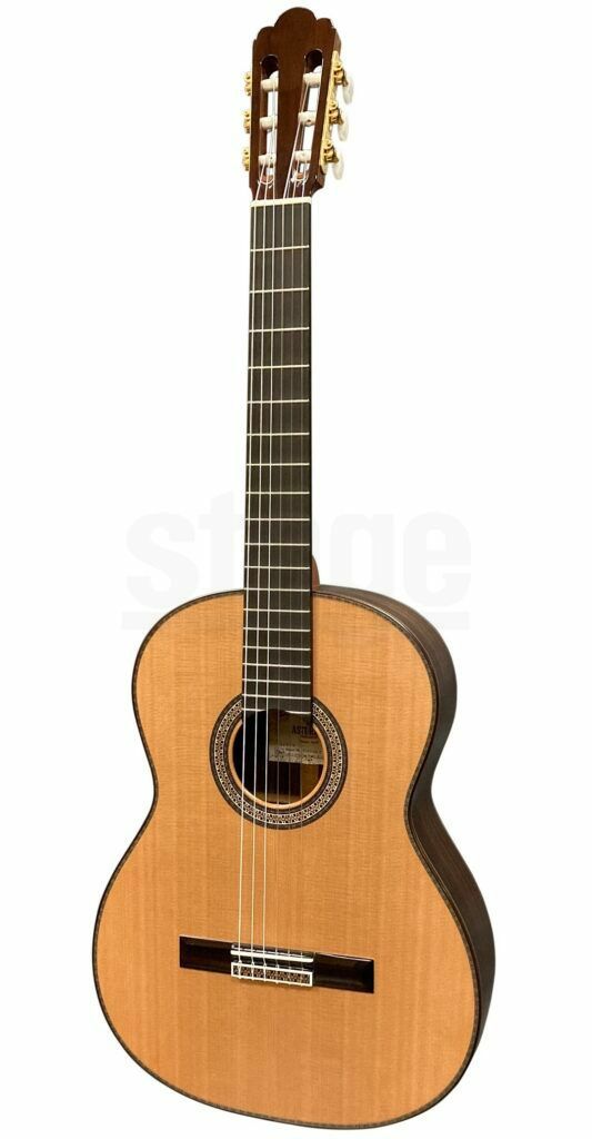 ASTURIASCUSTOM/C650mm表