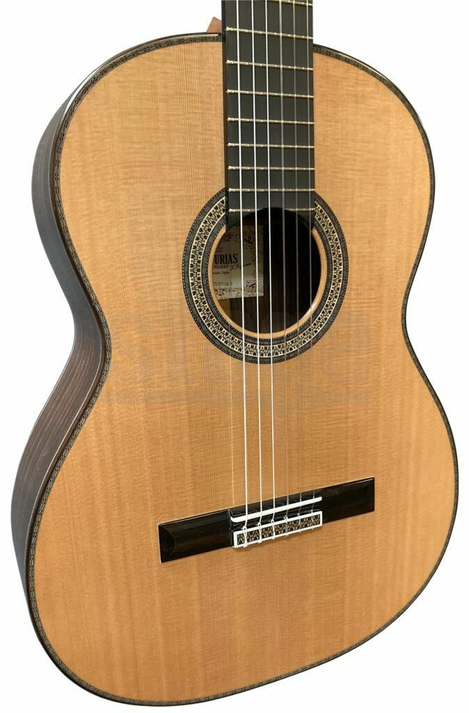 ASTURIASCUSTOM/C650mmボディ表