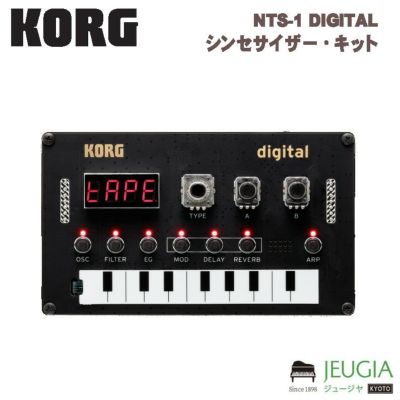 KORG / Pa300 キーボード※こちらの商品はお取り寄せとなります。在庫確認後ご連絡します。 | JEUGIA