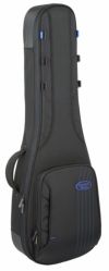 ReunionBluesRBC23LPRBExpeditionLPStyleGuitarCase