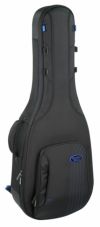 ReunionBluesRBC23C3RBExpeditionSmallBodyAcousticCase