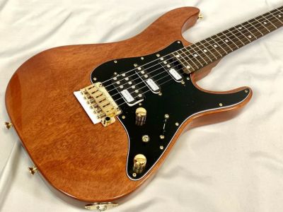 Valley Arts エレキギター ナチュラル ヴァレーアーツ Valley Arts Custom Pro USA - Green Sunburst - 