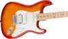 SquireAffinitySeries&#174;Stratocaster&#174;FMTHSS,MapleFingerboard,WhitePickguard,SiennaSunburst