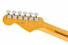 FenderAmericanProfessionalIIStratocaster&#174;,RosewoodFingerboard,Anniversary2-ColorSunburst