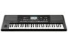 KORG Pa300 - PROFESSIONAL ARRANGERコルグ アレンジャーキーボード 61鍵盤 作曲【Stage Key Board】【Stage Synthesizer】