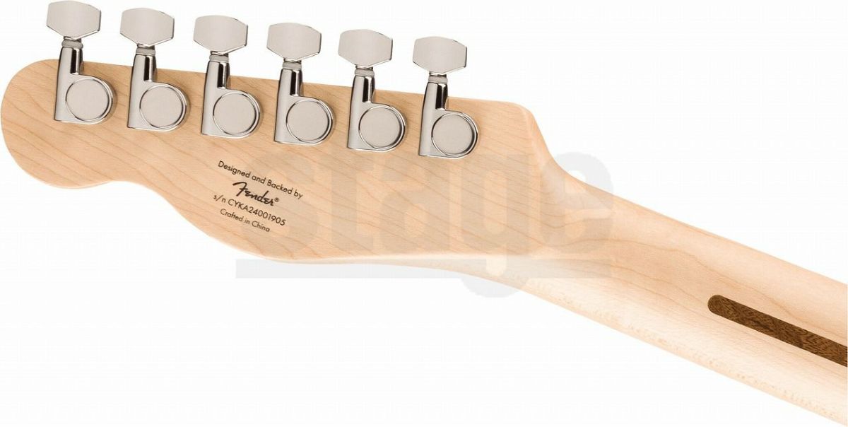 Squier Affinity Series® Telecaster® Thinline, Laurel Fingerboard, Black Pickguard, Olympic Whiteスクワイア テレキャスター シンライン オリンピックホワイト【Stage Guitar】エレキギター 白