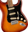 Fender Player Plus Stratocaster&#174;, Pau Ferro Fingerboard, Sienna Sunburstフェンダー プレイヤープラス ストラトキャスター シエナサンバースト