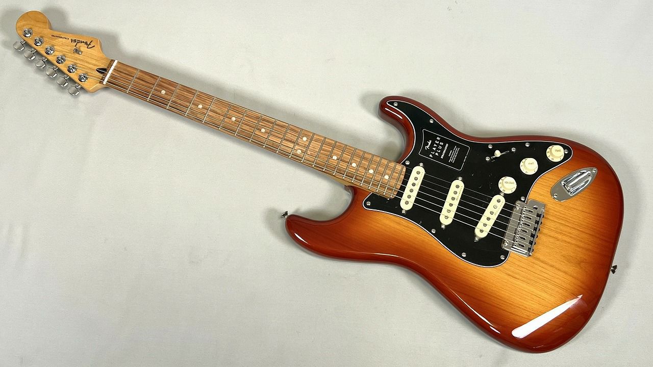 FenderPlayerPlusStratocaster®,PauFerroFingerboard,SiennaSunburst裏