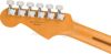 Fender Player Plus Stratocaster&#174;, Pau Ferro Fingerboard, Sienna Sunburstフェンダー プレイヤープラス ストラトキャスター シエナサンバースト