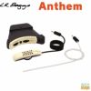 L.R.Baggs Anthem