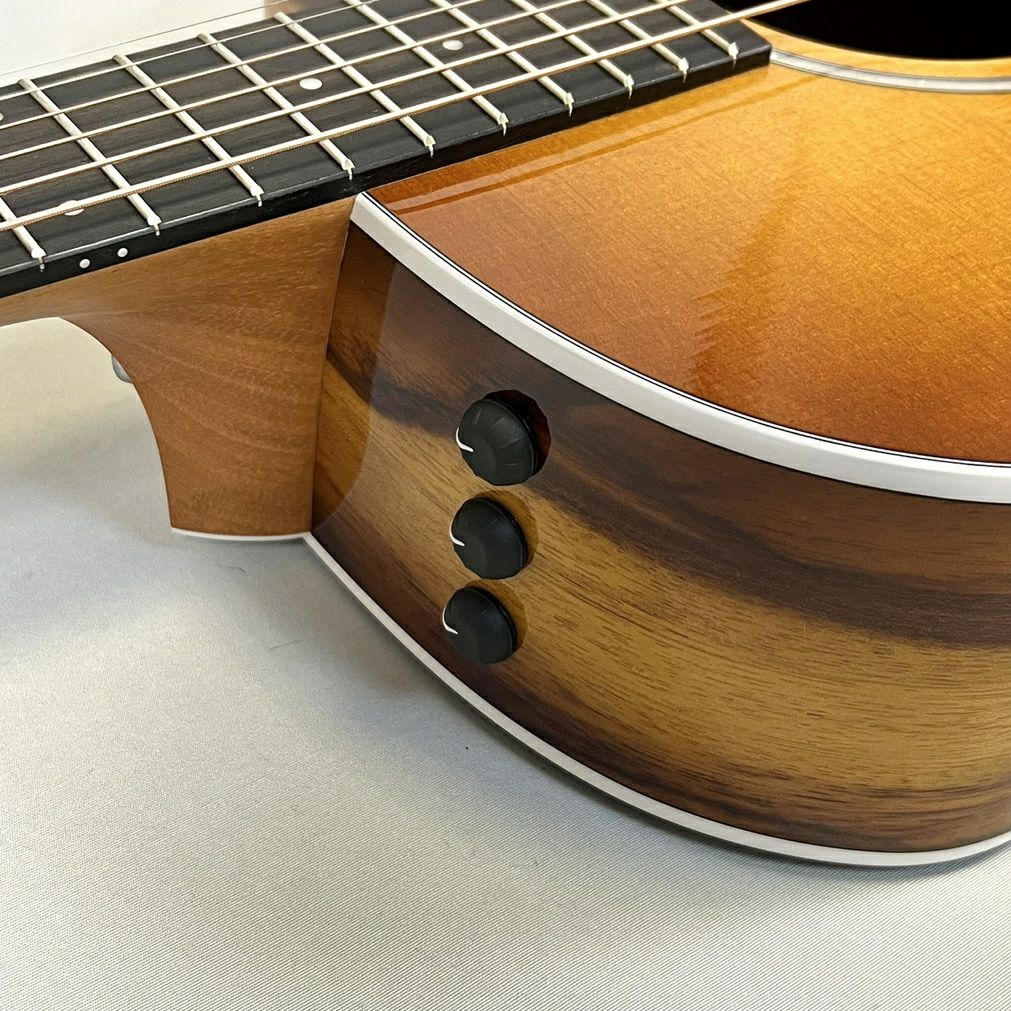 Taylor Expression System 2。上からボリューム、トレブル、ベース。