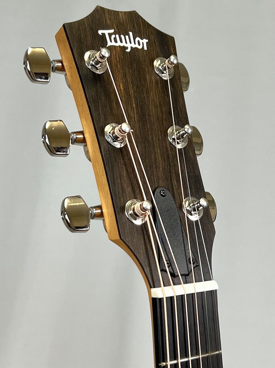 Taylor 214ce African Ziricote Plus Special Edition / Spruceヘッド表