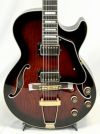  Ibanez AG95QA DBS(Dark Brown Sunburst)【店頭展示特価品】