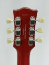 FGN NLS200RFM-FCB (Faded Cherry Burst)
