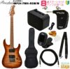 【アンプ8点セット付き】BacchusIMP24FMH-RSM/MN-BR-BSET