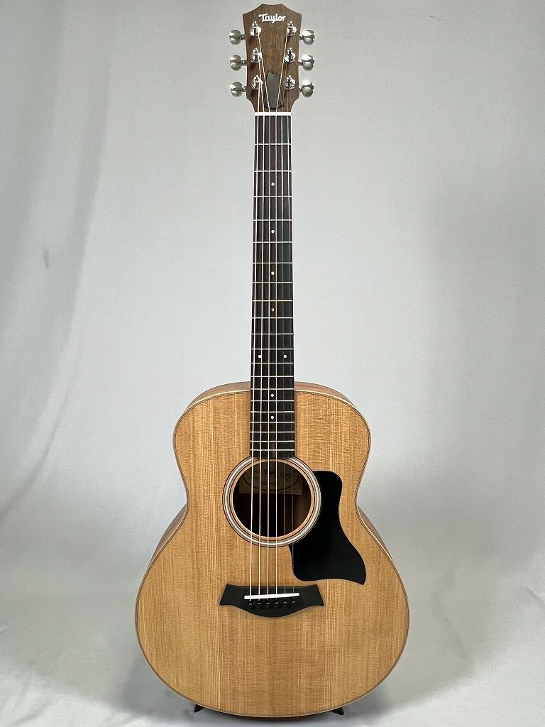 Taylor GS Mini 全体図