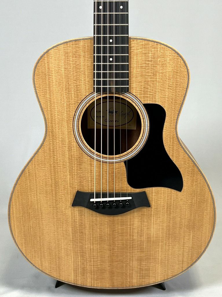 Taylor GS Mini ボディ正面図