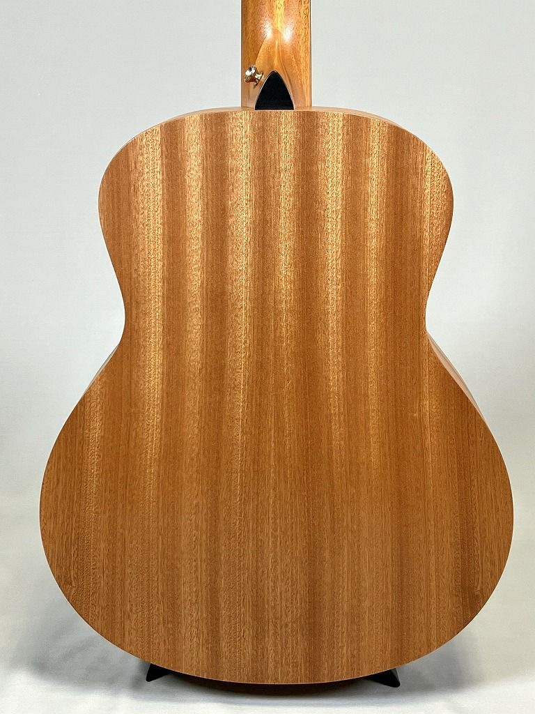 Taylor GS Mini ボディ背面図