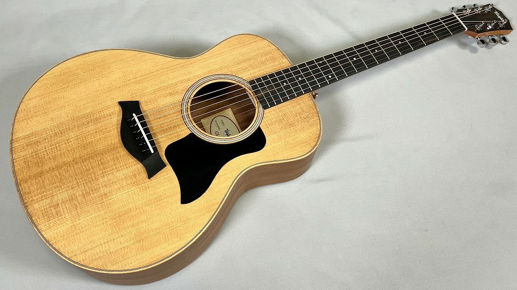 Taylor GS Mini