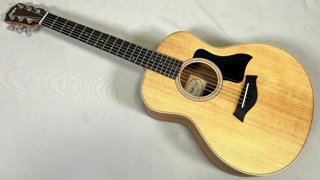 Taylor GS Mini