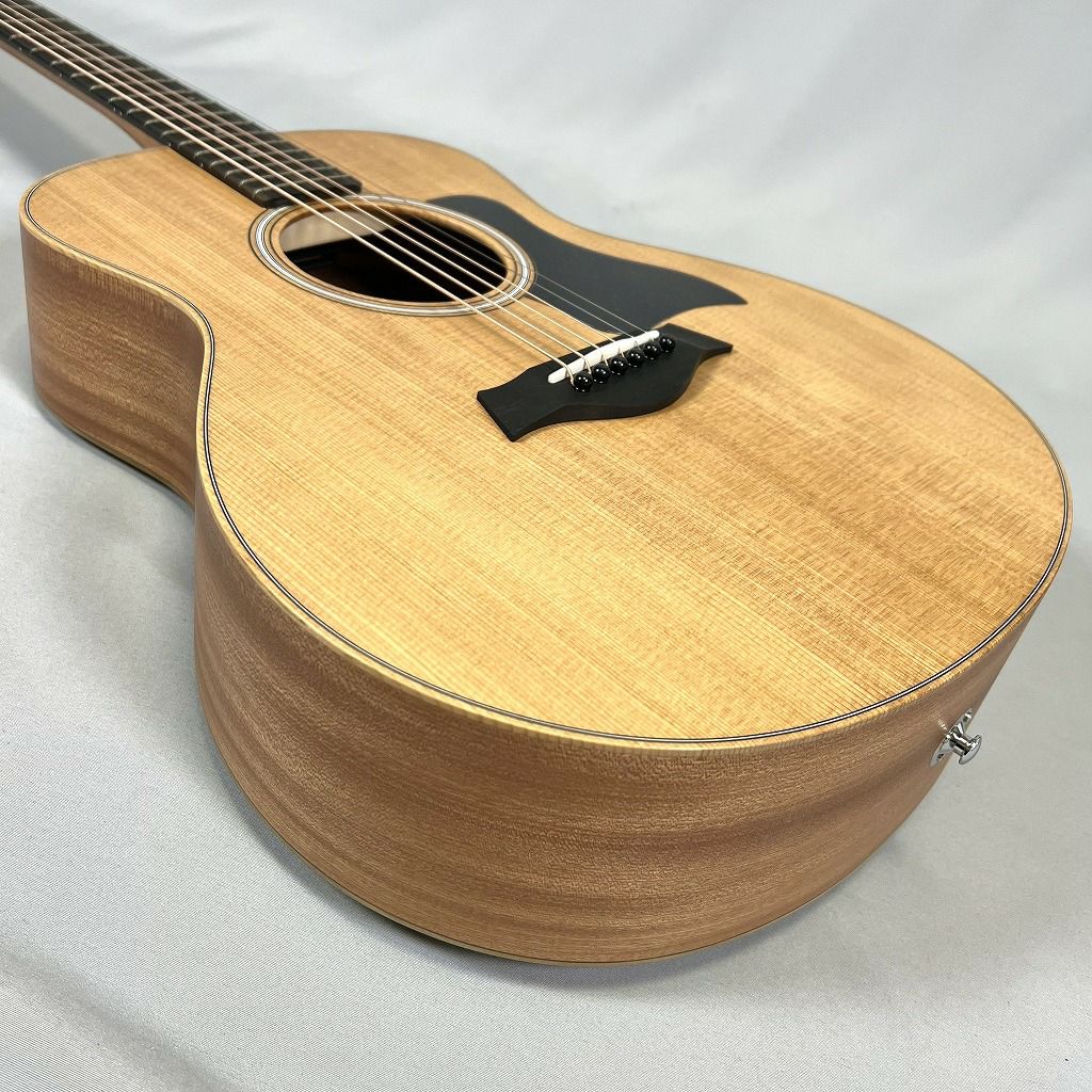 Taylor GS Mini