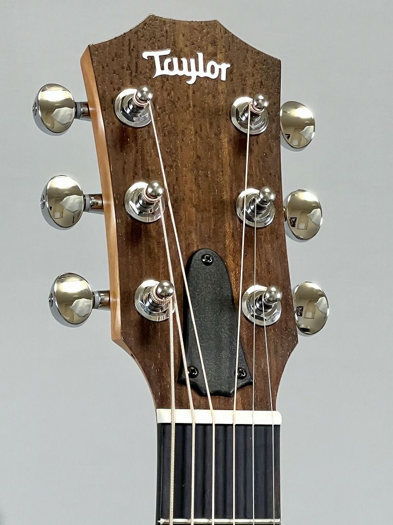 Taylor GS Mini ヘッド表面